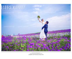 点击看大图 -戛纳印象摄影(潮拍定制馆)