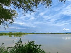 -野鸭湖国家湿地公园