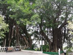 -乌山风景区