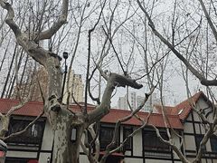 -鹿园 MOOSE(长宁店)