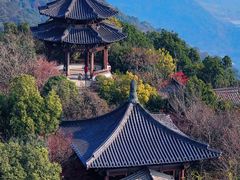 -杭州半山国家森林公园