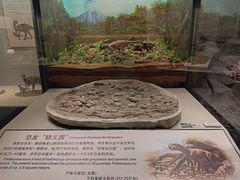 -辽宁古生物博物馆