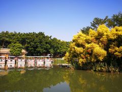 -大湾区中央湿地公园