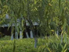 -皇粮浜公园