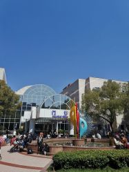 -上海交通大学医学院附属上海儿童医学中心(陆家嘴总院区)