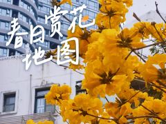 -福满园大酒楼(梅林店)