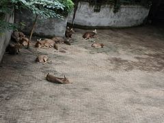 -台州府城(江南长城)