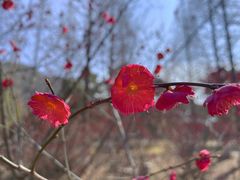 -宝岩生态观光园