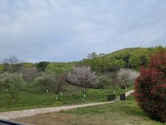 -南京市无想山景区