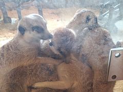 -珠海海泉湾神秘岛亲子乐园