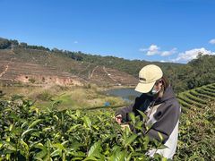 -西双版纳勐泐文化旅游区