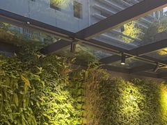 -巴厘龙虾·榜首油焖大虾(洞庭·艺术洋房店)