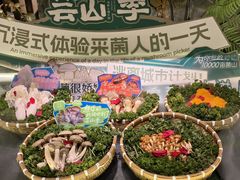 -芸山季·云南野生菌火锅(人民广场来福士店)