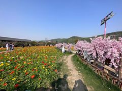 -灵福缘私房菜·农家菜(拈花湾·灵山大佛必推店)