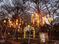 -陶缘一号·四季缘·老字号顺德菜·户外婚礼家宴(西滘店)