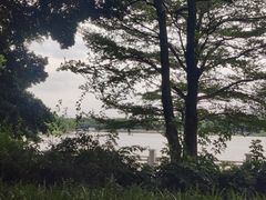 -海珠湖公园