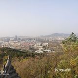 遛娃之象耳山公园-李村