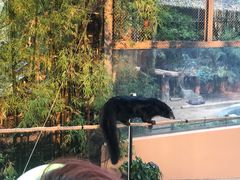 -清迈夜间动物园