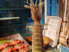-辉记炭烧海鲜大排档·老字号(福田店)