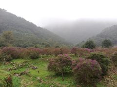 -广州市石门国家森林公园