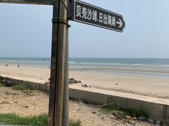 -贝壳沙滩