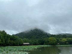 -八卦田遗址公园