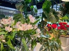 -懒人盐府人家(航天桥店)