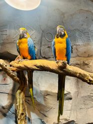 -Zoolung Zoolung动物主题公园(海信广场店)