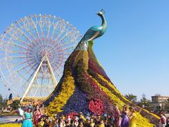 -七彩云南欢乐世界