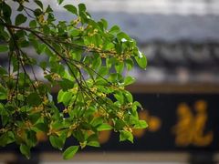 -金轮星光名座生活广场