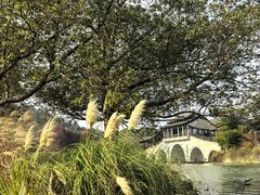 -长广溪湿地公园