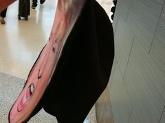 -纽瓦克自由国际机场