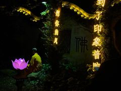 -印象普陀