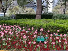 -中国电信(客户服务保障中心)