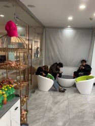 -镁连社·美联社