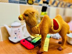 -清真·西北朗益和餐厅