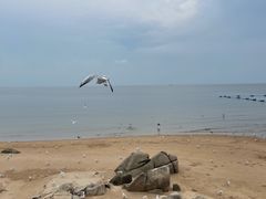 -老虎石海上公园