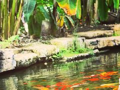 -南通洲际绿博园