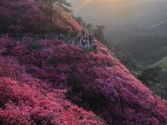 -木兰云雾山