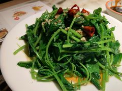 地瓜叶-佬肥猫(国华广场店)