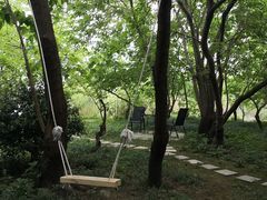 -长兴太湖图影湿地文化园
