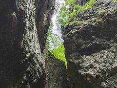 -牛背梁国家森林公园