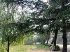 -黄河花园口旅游区