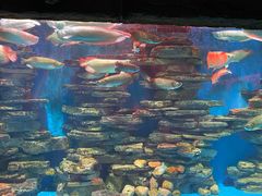 -多彩贵州城极地海洋世界