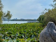 -长春市南湖公园