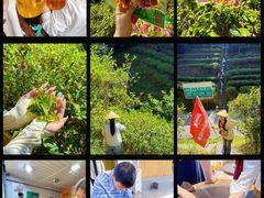 -郴州特产舜华临武鸭(郴州西站店)