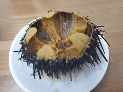 -海胆小馆(东北水饺·春柳店)