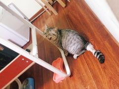 -H立方实景剧情密室(天河旗舰店)