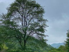 -大水川景区