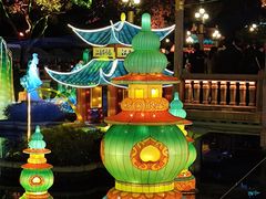 -老桐椿 · 上海大馄饨